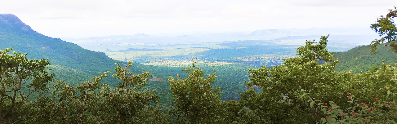 Conservation in Action